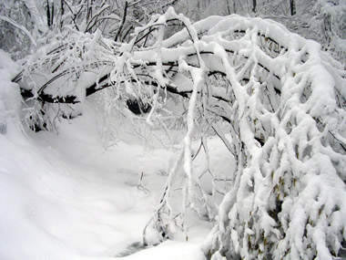 un'abbondante nevicata sul Biellese 1