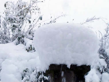 un'abbondante nevicata sul Biellese 13